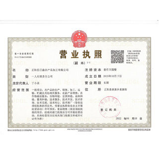 公司营业执照