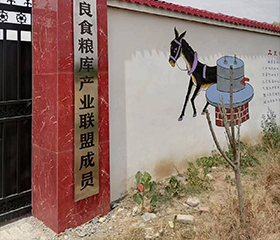 巨鑫公司旗下匪石石磨面